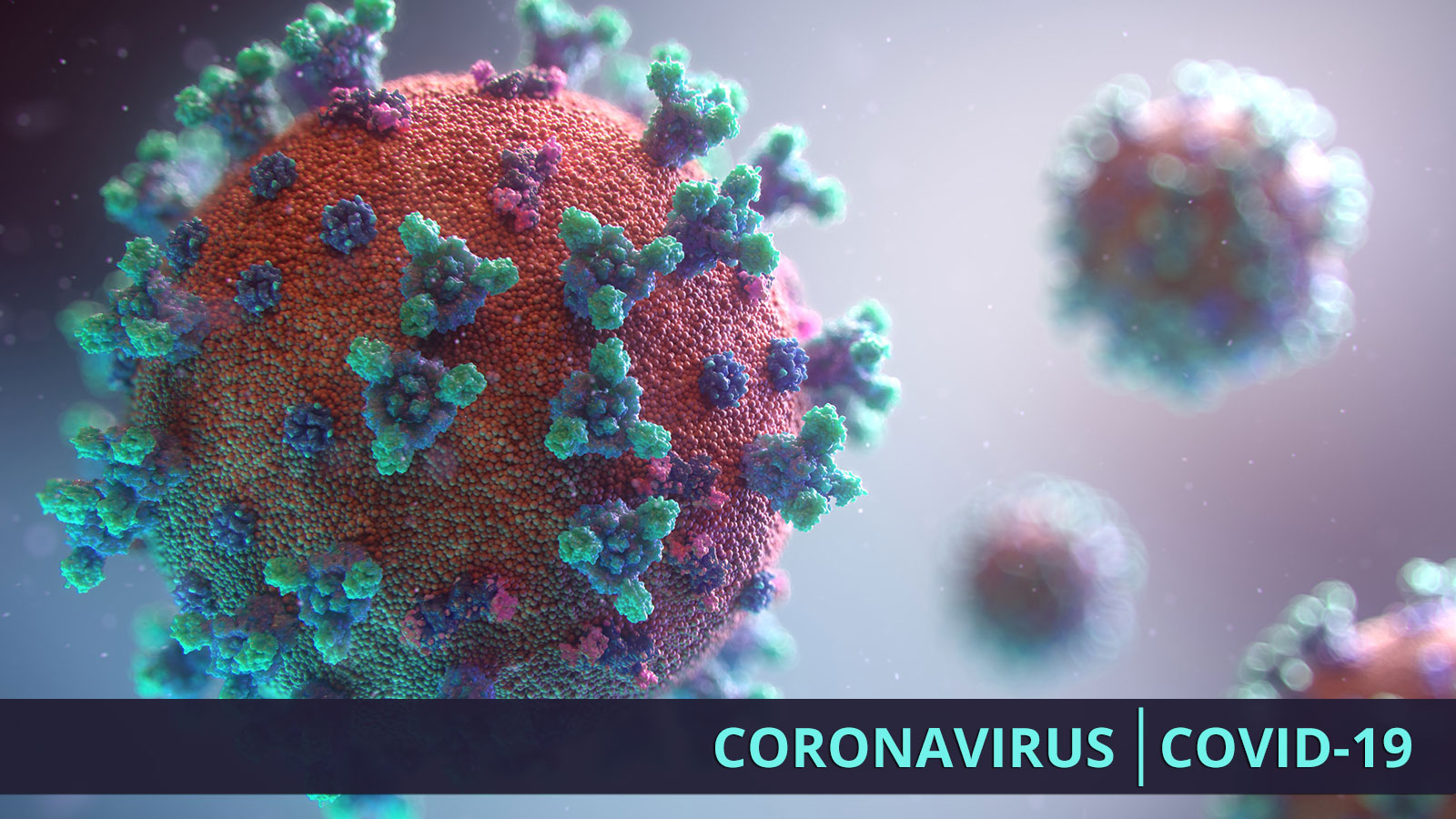 Nature’s fury: Man Vs Corona Virus – Can we deal with it?