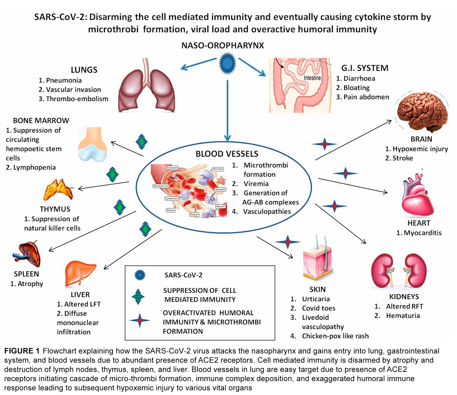 Unraveling the mystery of Covid-19 cytokine storm: From skin to organ systems